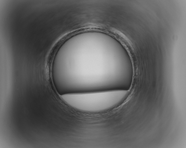 X0000102281310200807250933