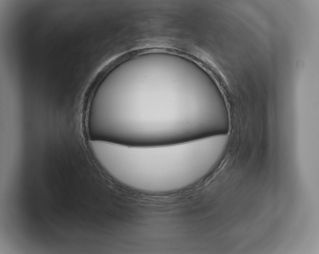 X0000102281312200807250933