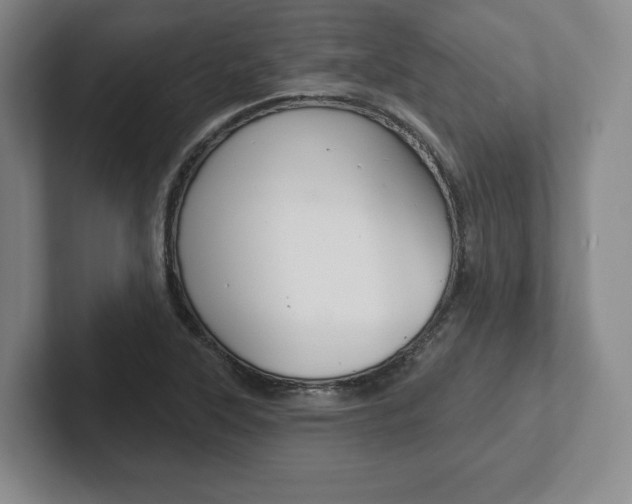 X0000102281315200807250933