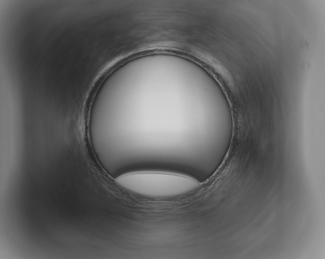 X0000102281316200807250933