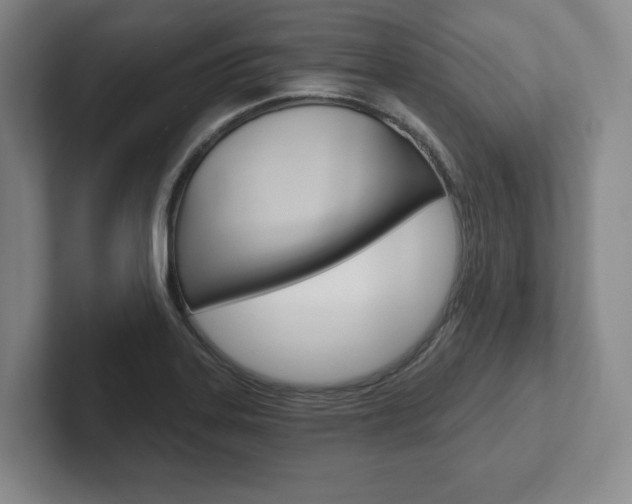 X0000102281323200807250933