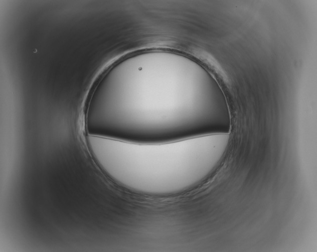 X0000102281324200807250933