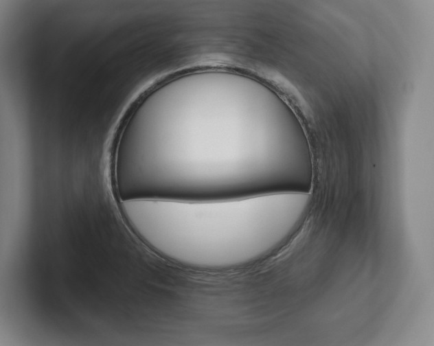 X0000102281326200807250933