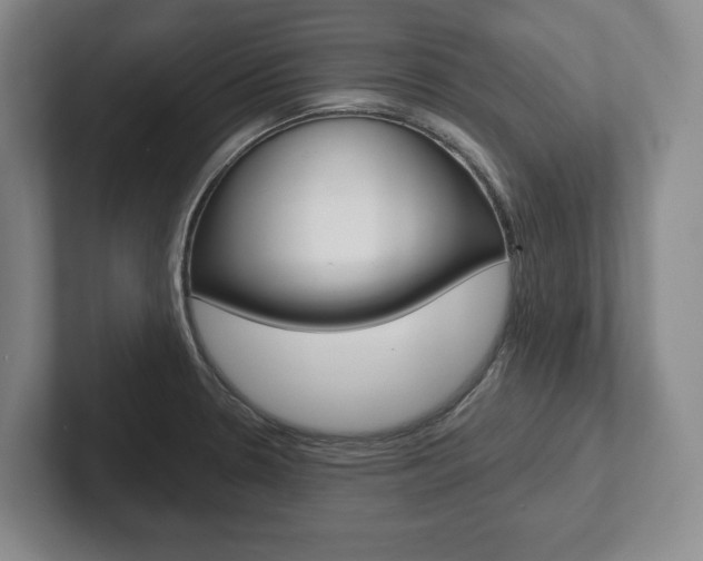 X0000102281330200807250933