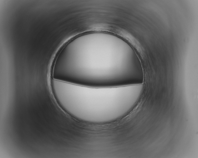 X0000102281331200807250933