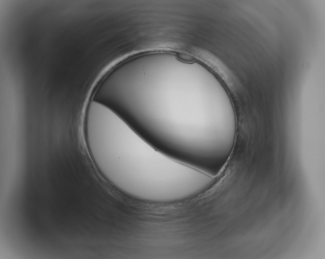 X0000102281332200807250933