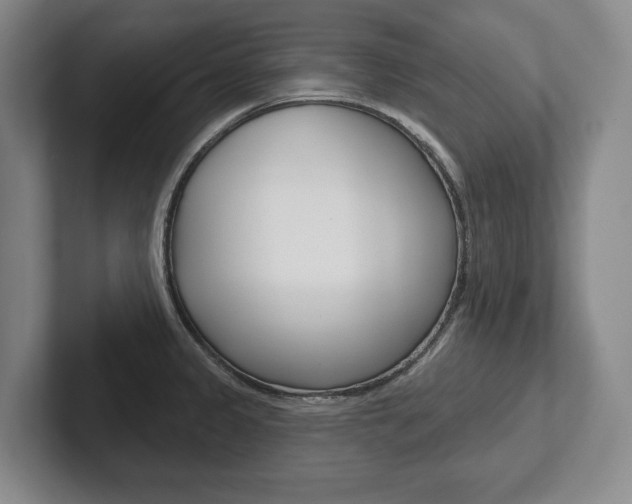 X0000102281333200807250933