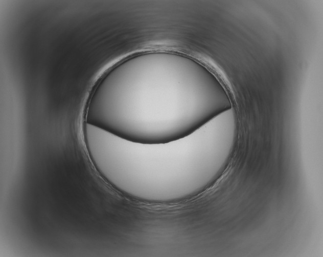 X0000102281336200807250933