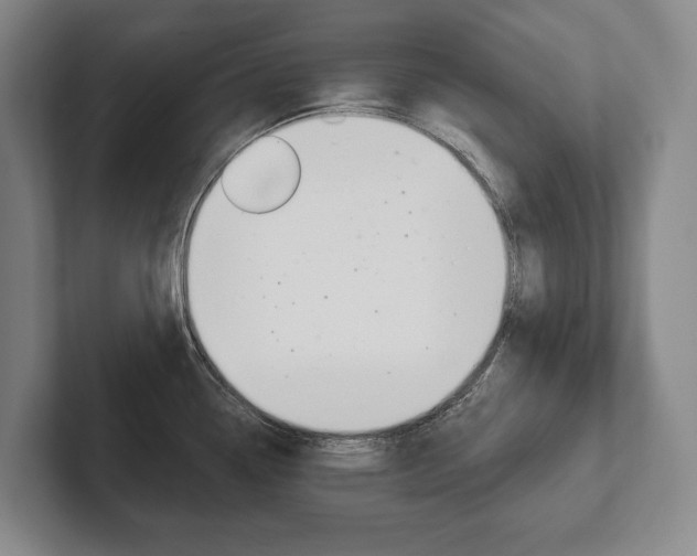 X0000102281338200807250933