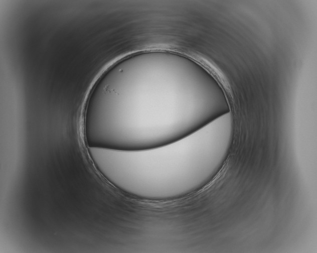 X0000102281340200807250933