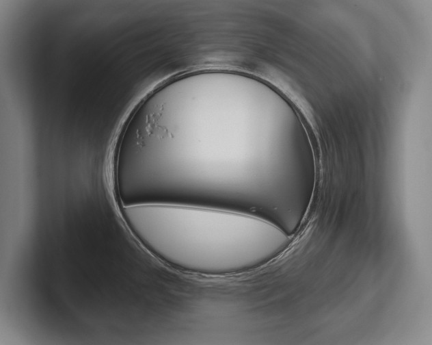 X0000102281341200807250933