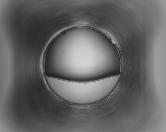 X0000102281342200807250933