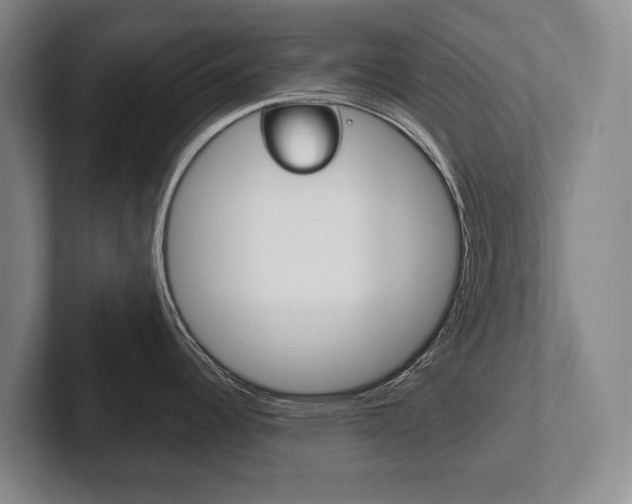 X0000102281344200807250933