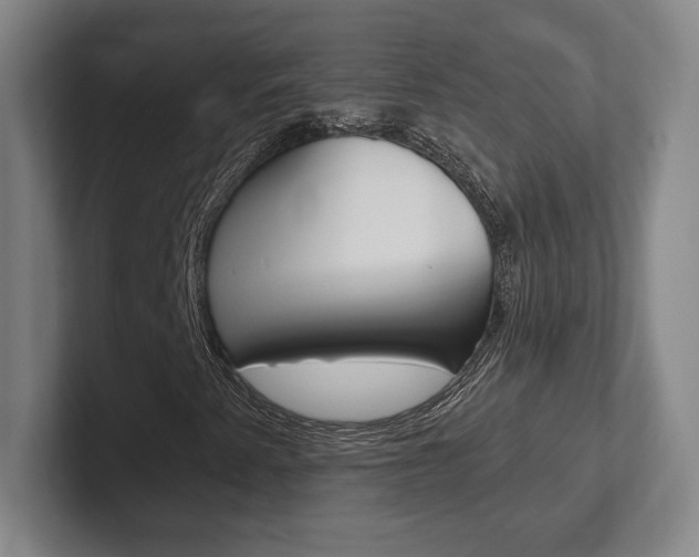 X0000102281345200807250933