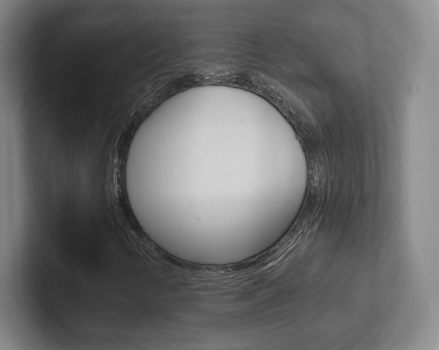 X0000102281346200807250933