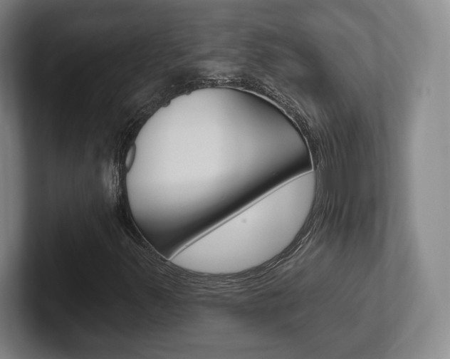 X0000102281347200807250933