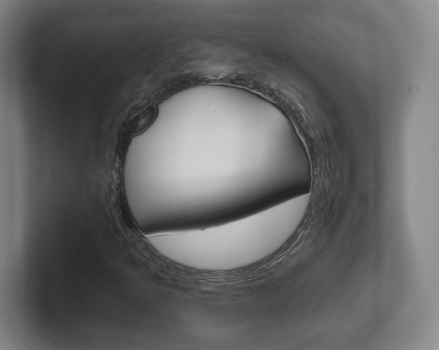 X0000102281349200807250933
