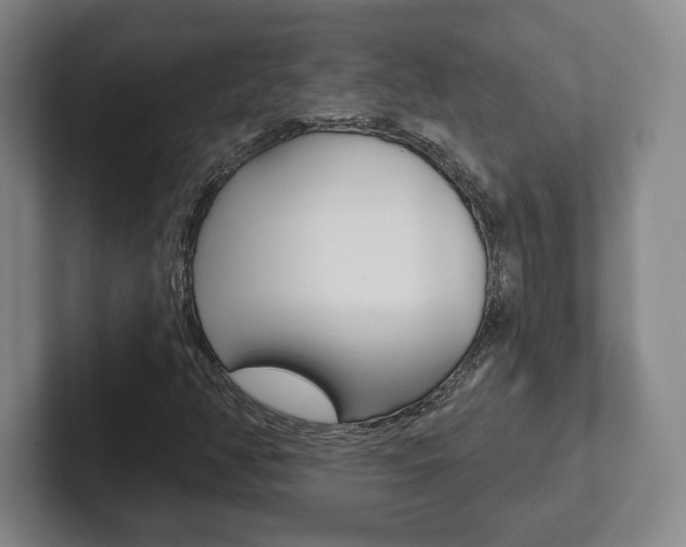 X0000102281350200807250933