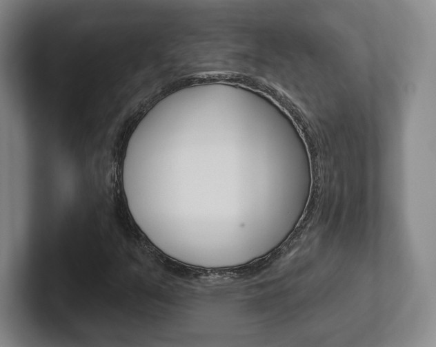 X0000102281351200807250933