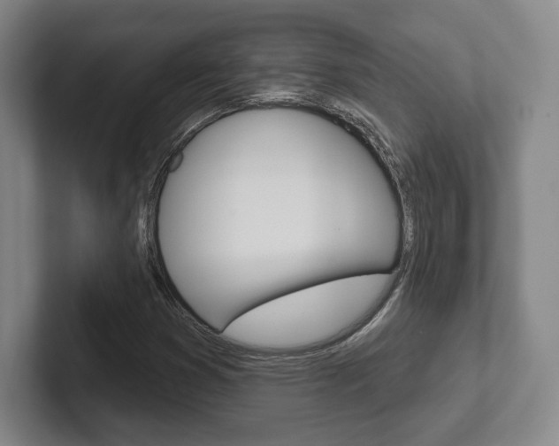X0000102281353200807250933