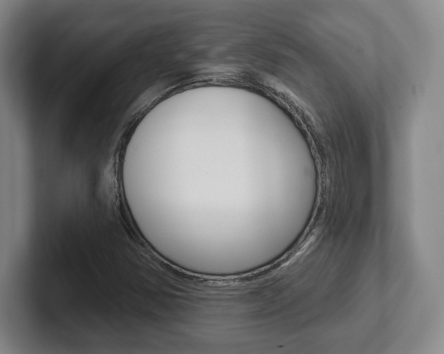 X0000102281354200807250933