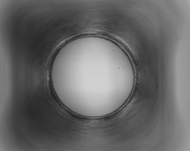 X0000102281355200807250933