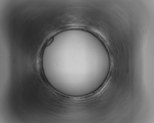 X0000102281357200807250933