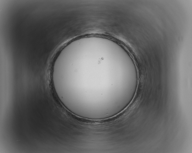 X0000102281359200807250933