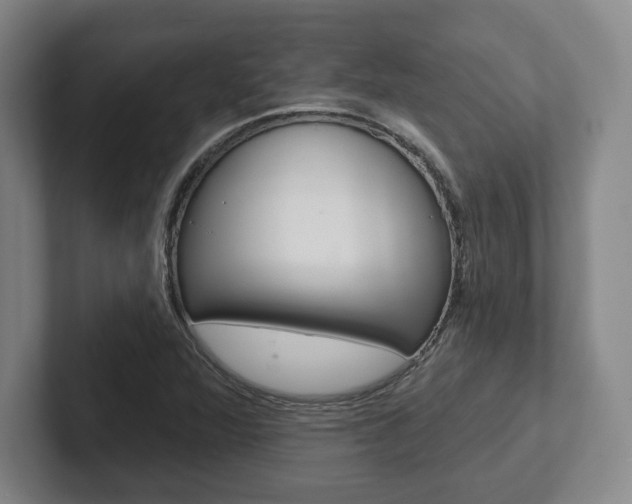 X0000102281360200807250933
