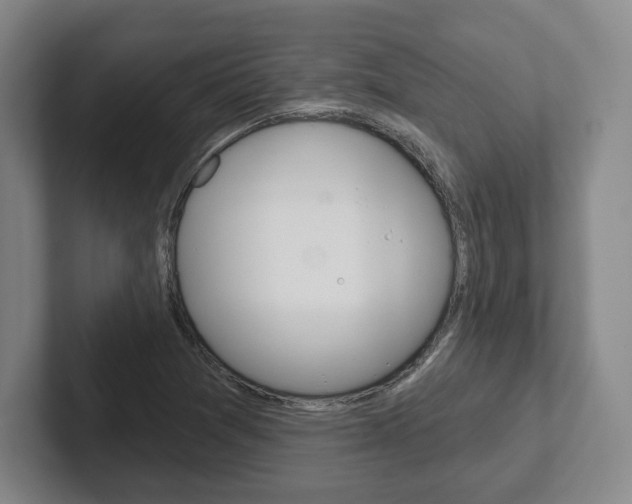 X0000102281361200807250933