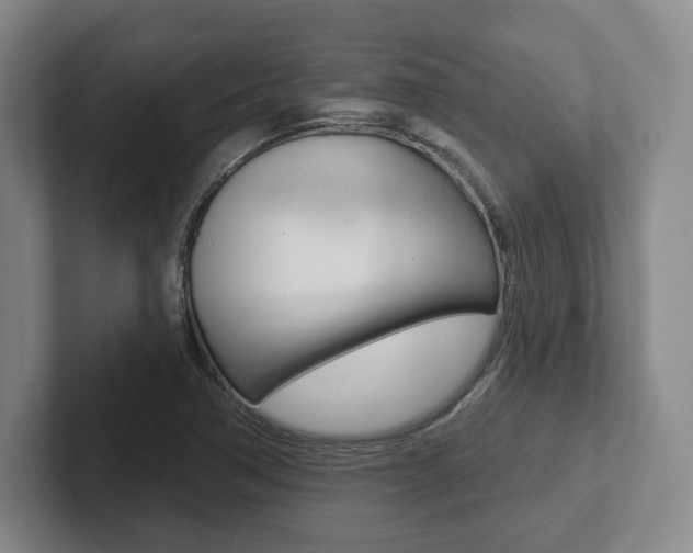 X0000102281362200807250933