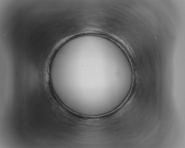 X0000102281363200807250933