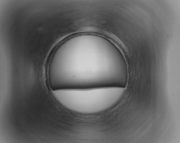 X0000102281364200807250933