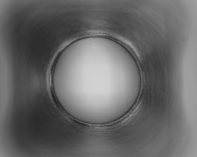 X0000102281365200807250933