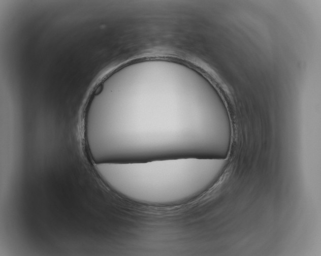 X0000102281366200807250933
