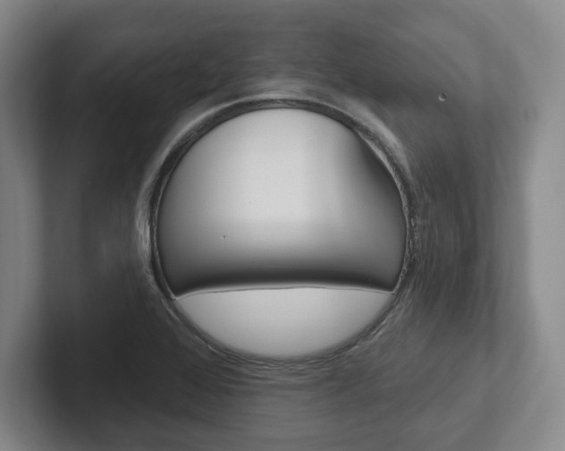 X0000102281368200807250932