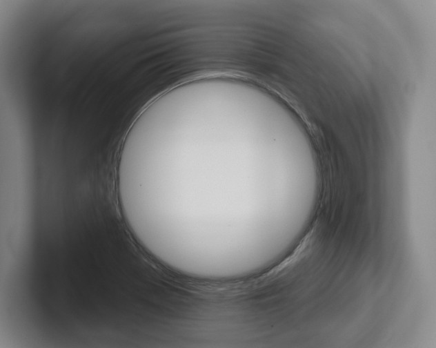 X0000102281369200807250932