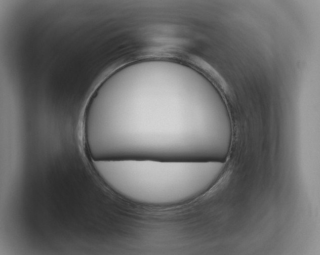 X0000102281370200807250932