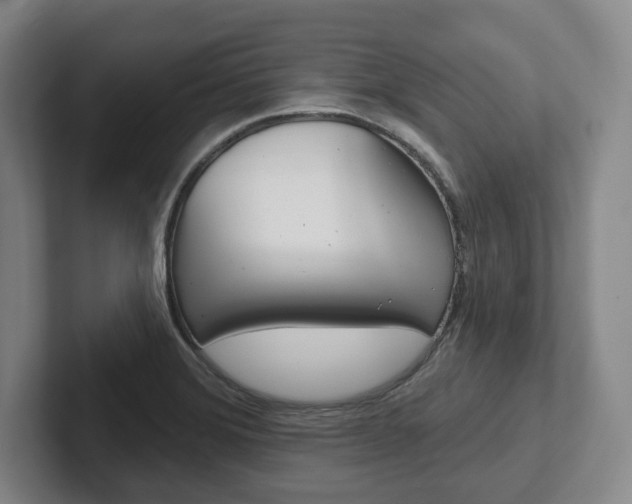 X0000102281372200807250932