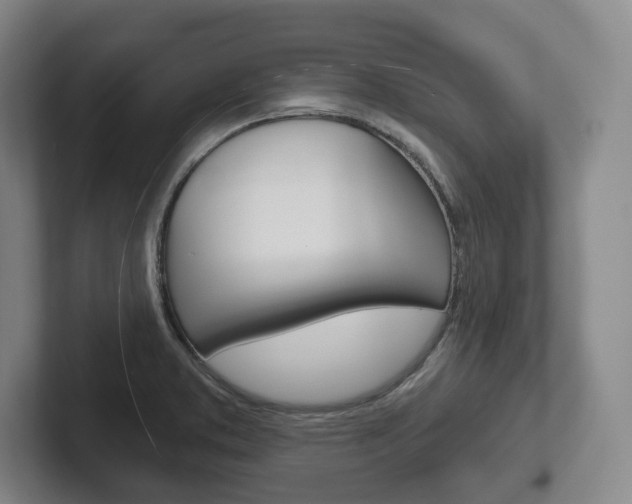 X0000102281373200807250932