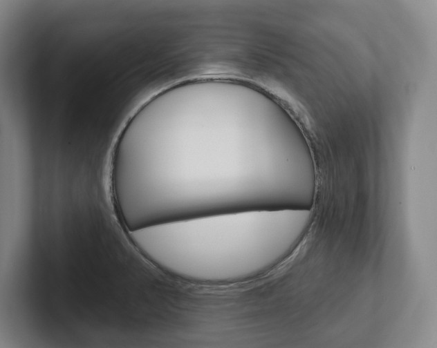 X0000102281374200807250932