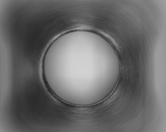X0000102281375200807250932