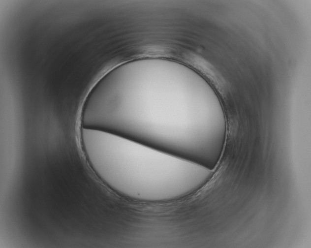 X0000102281378200807250932