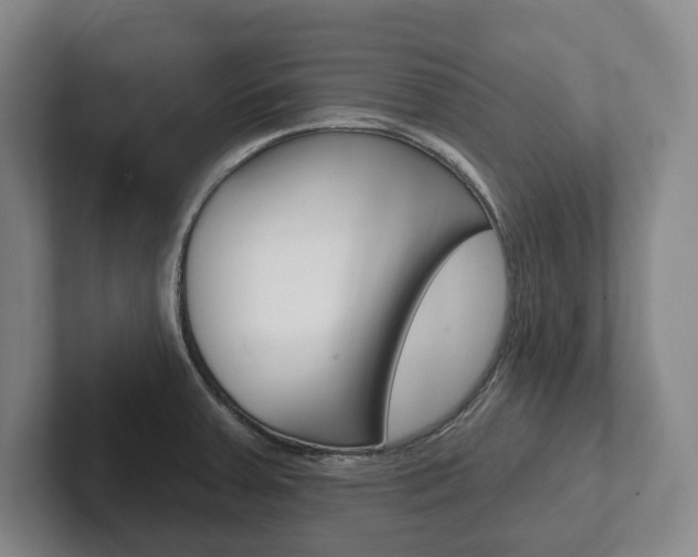 X0000102281379200807250932