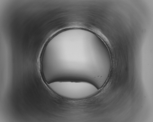 X0000102281380200807250932