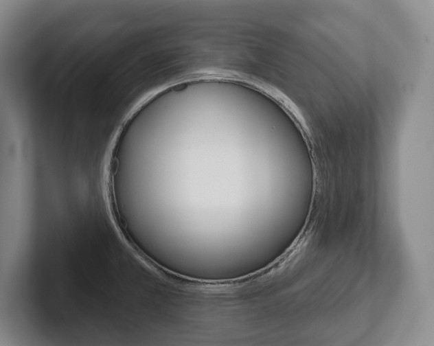 X0000102281381200807250932