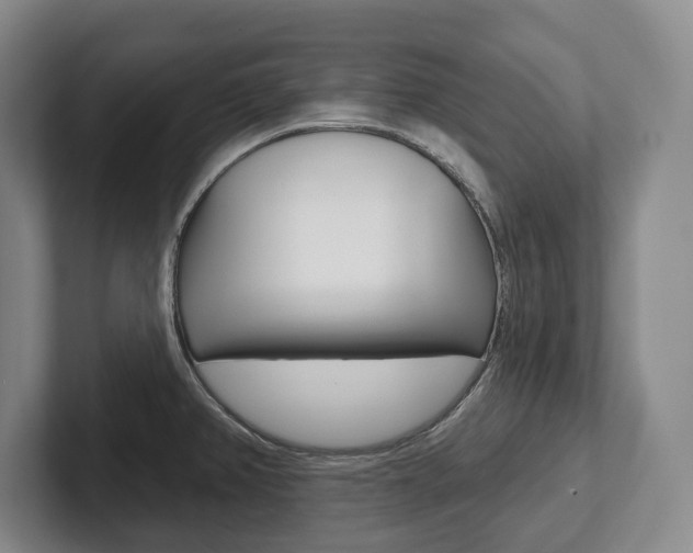 X0000102281382200807250932