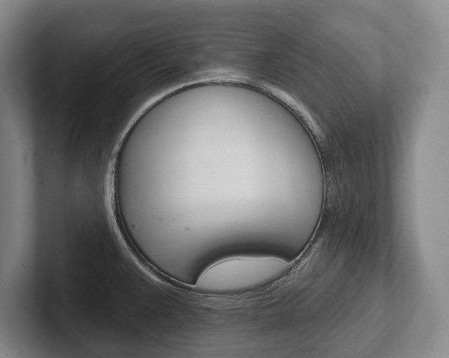 X0000102281383200807250932