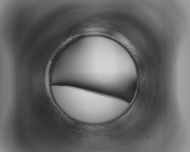 X0000102281384200807250932