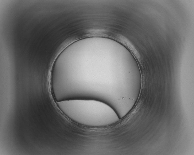X0000102281386200807250932